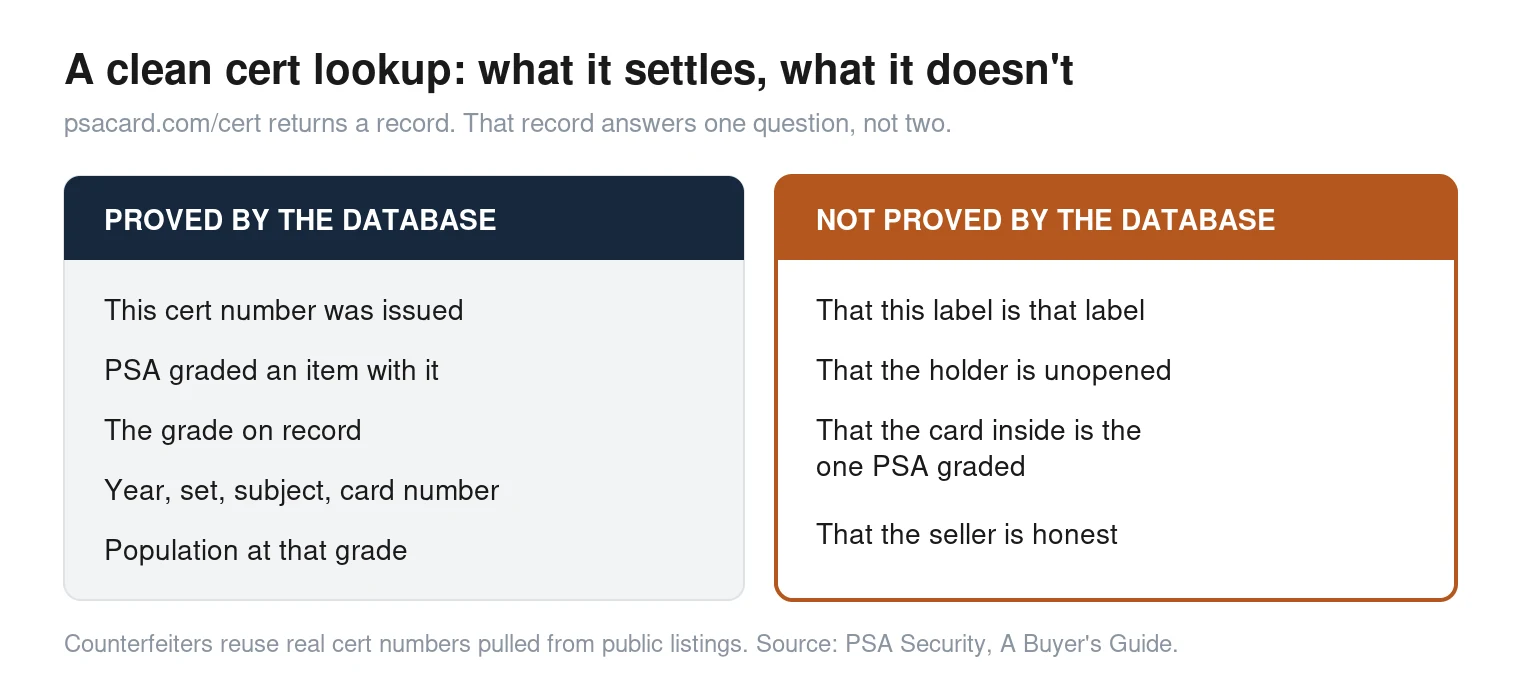 Two-column comparison showing what a PSA cert lookup proves, that the number was issued and the grade on record, versus what it does not prove, that this label belongs to this holder and that the card inside is the one PSA graded
