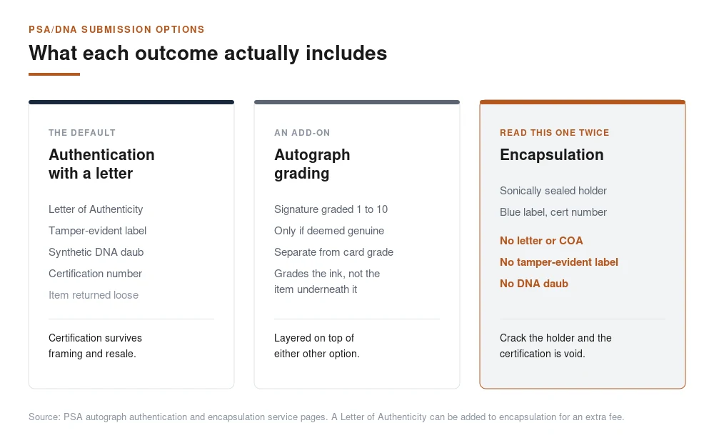 Comparison of the three PSA/DNA outcomes showing what a letter of authenticity, a tamper-evident label and an encapsulated holder each include